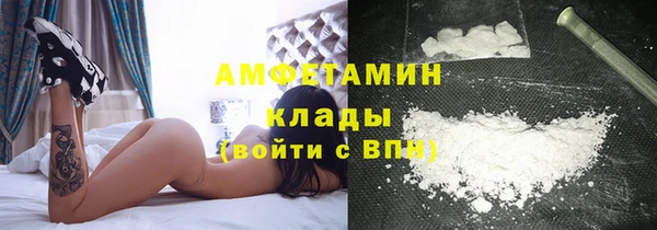 молекула духа Балахна