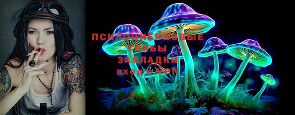 молекула духа Балахна